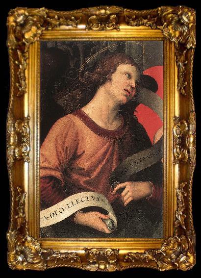 framed  RAFFAELLO Sanzio Angel (fragment of the Baronci Altarpiece) dg, ta009-2